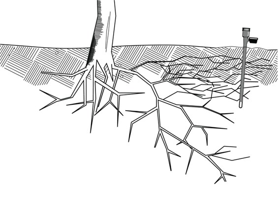 Тензиометры Компании Irrometer